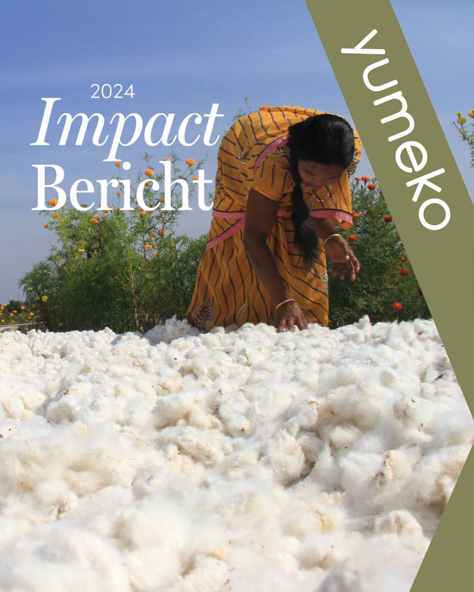 IMPACT REPORT 2024